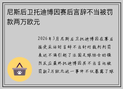 尼斯后卫托迪博因赛后言辞不当被罚款两万欧元