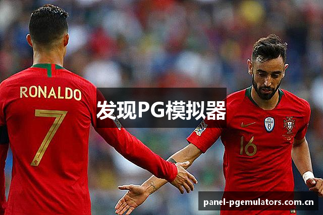 发现PG模拟器